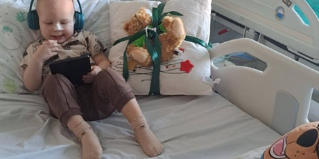 Powiększ grafikę: mikolajkowe-prewzenty-668664.jpg